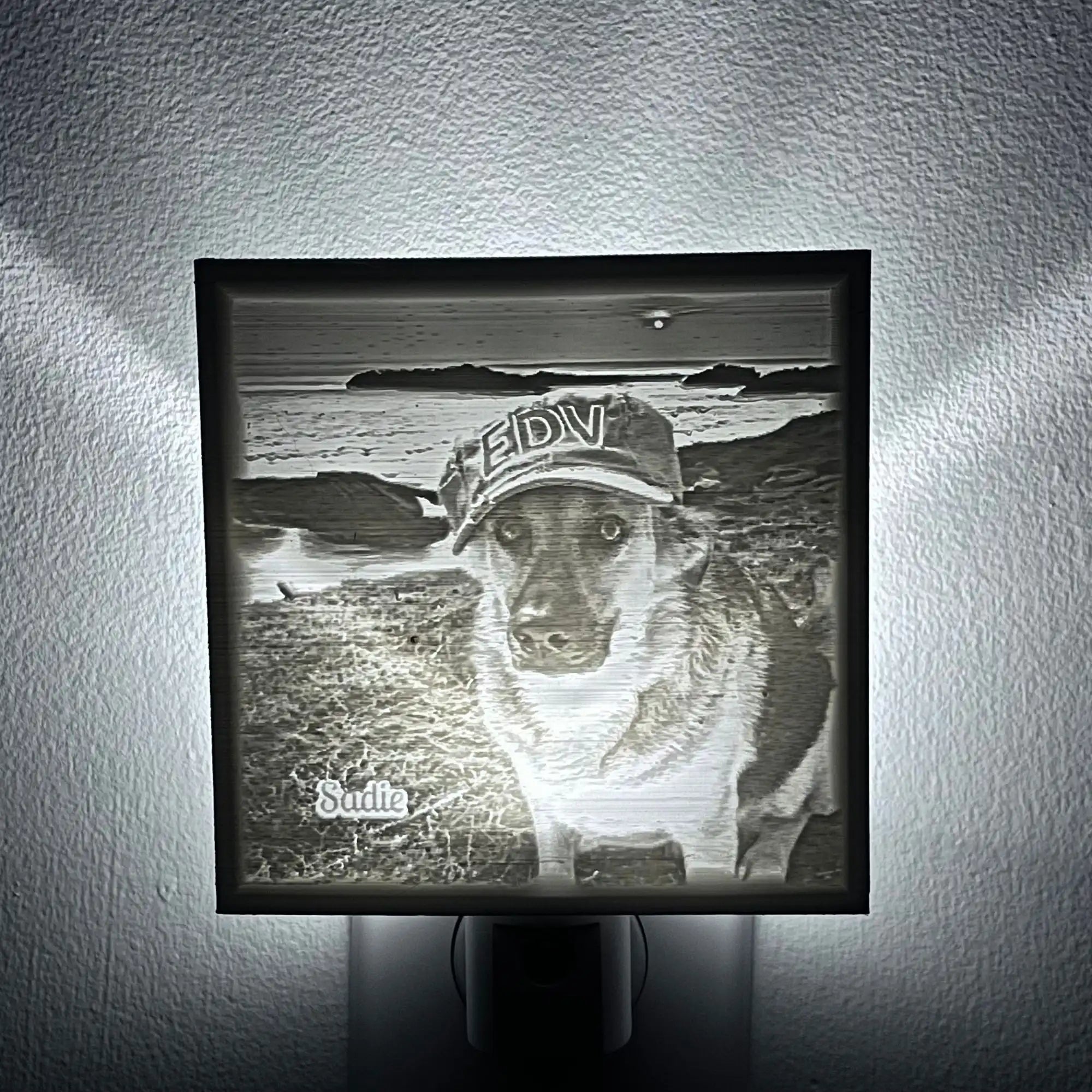 Nightlight with a dog wearing a hat and a beach scene.